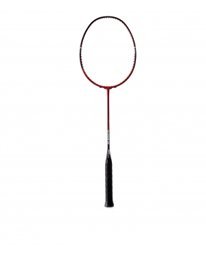 VỢT CẦU LÔNG PROACE PLATINUM 110 CHÍNH HÃNG PROACE
