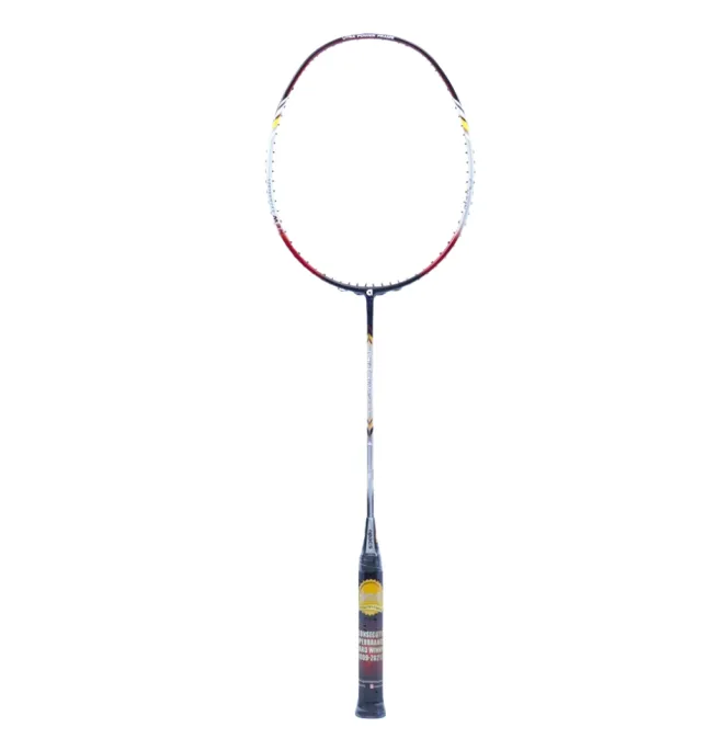 Vợt Cầu Lông Apacs Power Concept 500 Chính Hãng - Công Thủ Dễ Đánh