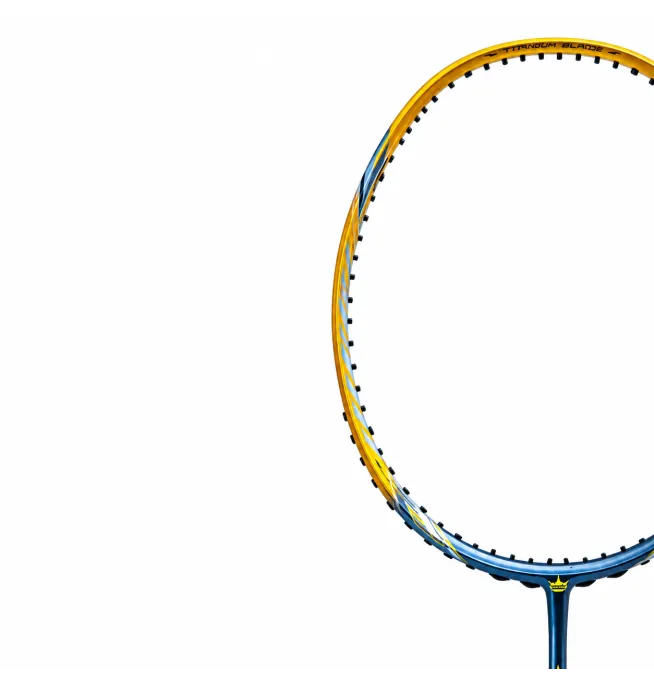 Vợt Cầu Lông WinStar Thunder 100/300 - Chính Hãng
